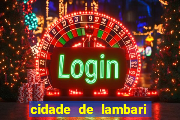 cidade de lambari sao paulo